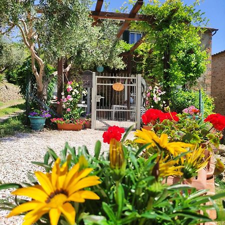Private Stone Cottage With Starlink & Lake View Tuoro sul Trasimeno Luaran gambar