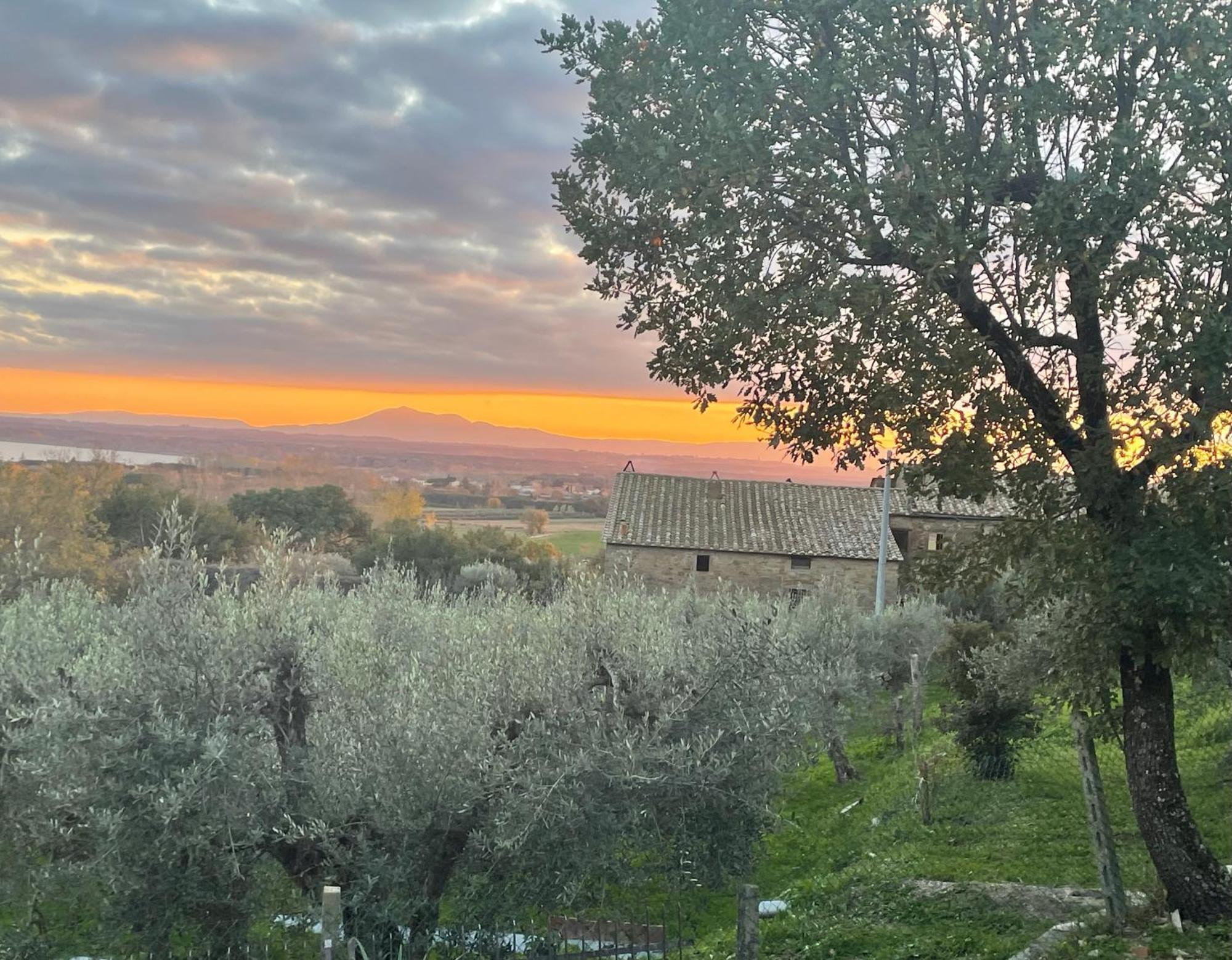 Private Stone Cottage With Starlink & Lake View Tuoro sul Trasimeno Luaran gambar