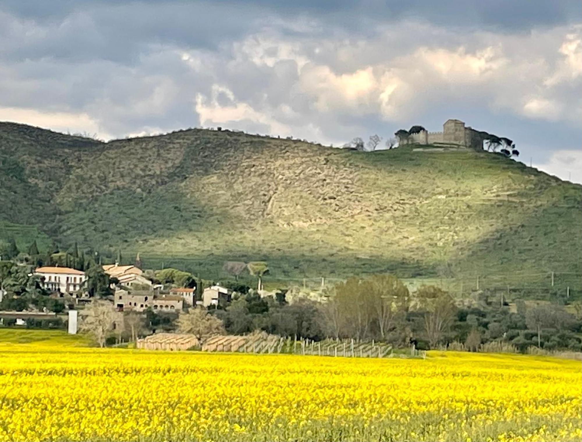 Private Stone Cottage With Starlink & Lake View Tuoro sul Trasimeno Luaran gambar